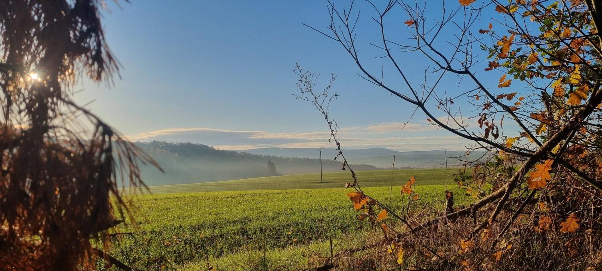 Ferienapartment Haus Am Gruen 2 "Sunshine" - Ruhe & Entspannung Mitten In Der Natur Herzberg am Harz Dış mekan fotoğraf