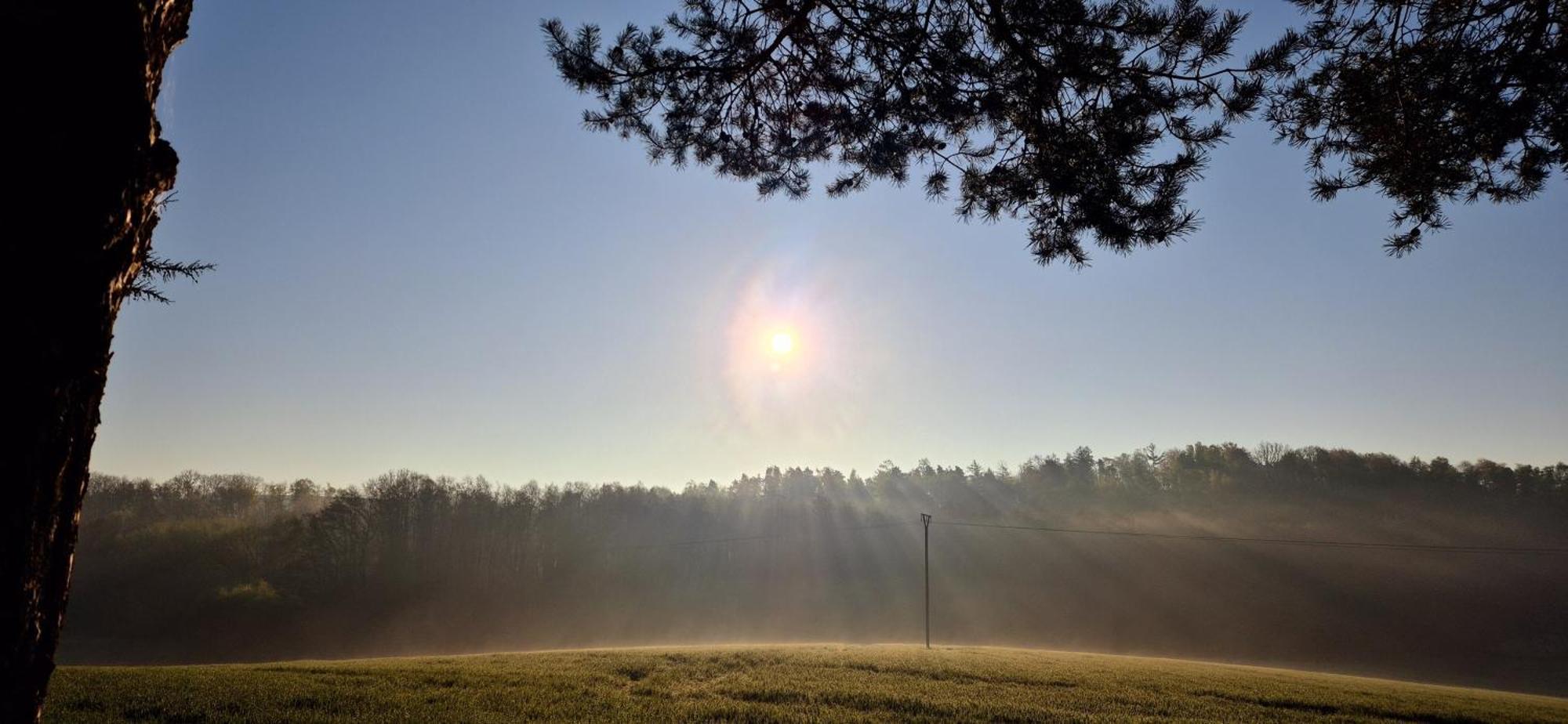 Ferienapartment Haus Am Gruen 2 "Sunshine" - Ruhe & Entspannung Mitten In Der Natur Herzberg am Harz Dış mekan fotoğraf