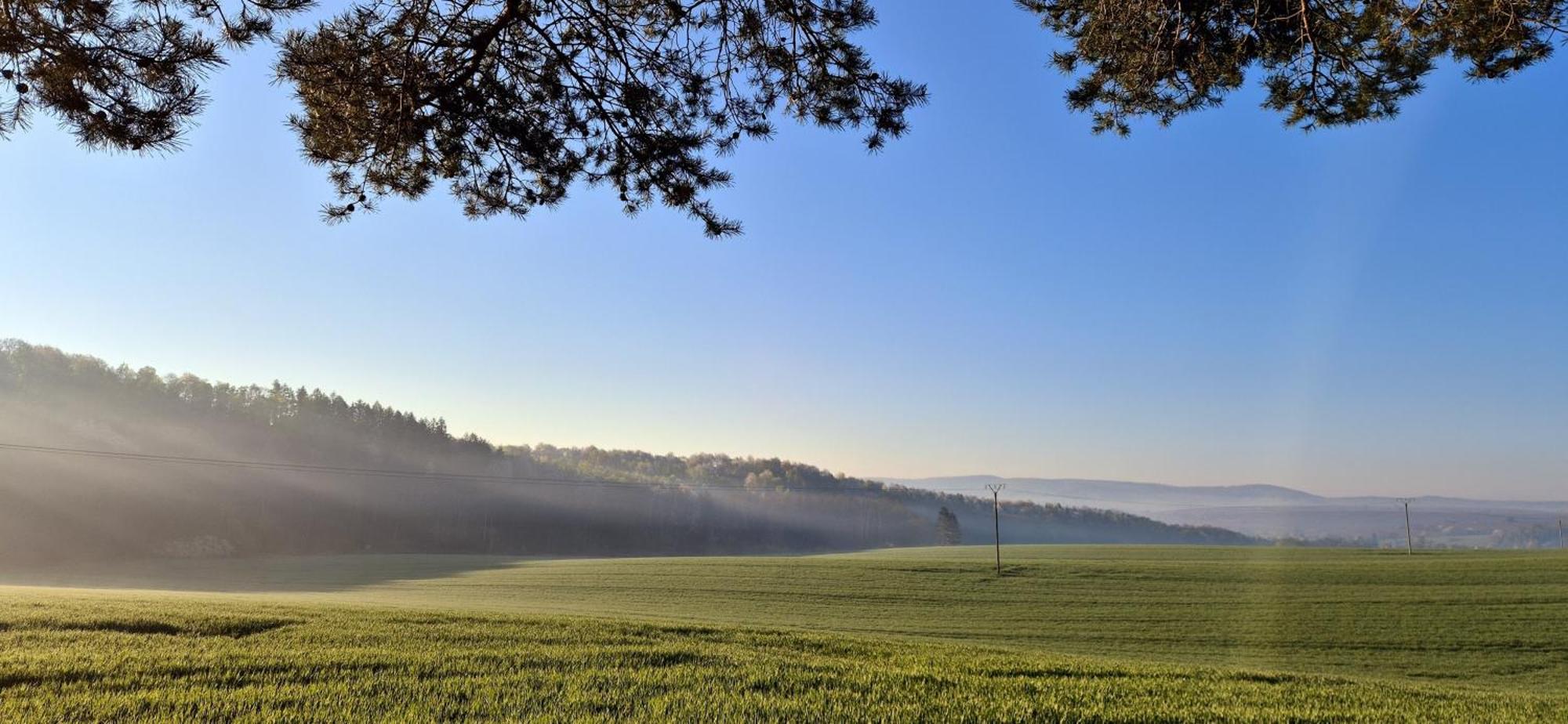 Ferienapartment Haus Am Gruen 2 "Sunshine" - Ruhe & Entspannung Mitten In Der Natur Herzberg am Harz Dış mekan fotoğraf